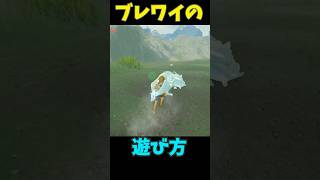 【 ブレワイの遊び方】　不戦勝編 #ゼルダの伝説 #zelda #ゼルダの伝説ブレスオブワイルド #ゼルダの伝説ティアーズオブザキングダム