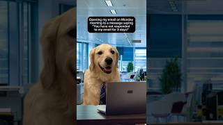 Please relax! #workmemes #work #weekend #email #corporate #wfh #office #dogsoftiktok #goldenretrieve