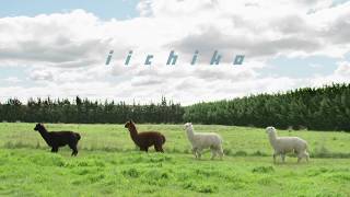 iichikoNEO 2020 ニュージーランド篇