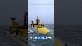 This water turbine resembles an underwater airplane