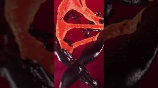 Discover the Secrets of DNA in Just 55 Seconds Part 2