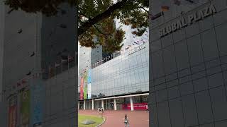 [대학탐방 Shorts] 경북대학교 글로벌프라자 #경북대학교 #경북대