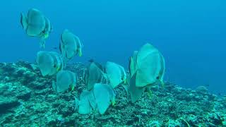 多良間島　2025　　5月3日－6日　no3
