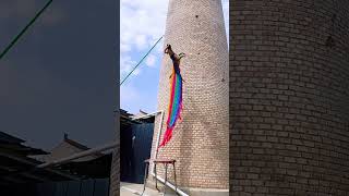 high Wall for jumping dog style#trending #dog #shortsvideo #viral#youtubeshorts