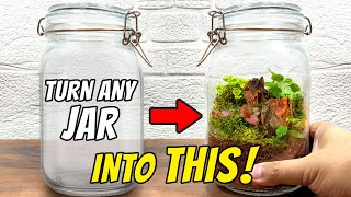 How to Make a Stunning Jar Terrarium: DIY Guide for Beginners