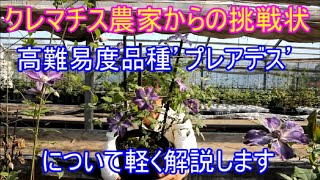 (Video description required) Video explaining the difficult Clematis 'Pleiades' (Clematis Variety...