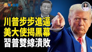前大使揭黑幕！美新外交攻勢！歐盟聯動掀開俄烏戰場全新序幕！【熱點追蹤】