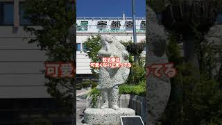 栃木県あるある 　#shorts #栃木県 #47都道府県あるあるチャレンジ
