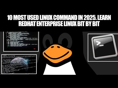 Most used Linux commands in the year 2025