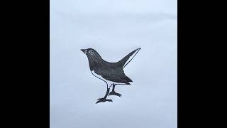 Magpie Bird #ytshorts #shortsviral #shorts #drawingvedio #drawing #pencilsketch #deviantart