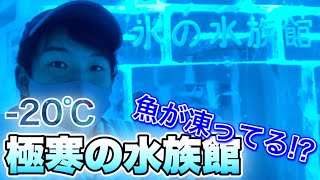 氷の水族館が寒すぎる！宮城県気仙沼市「海の市」に行ってきました！