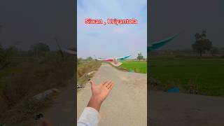 Kabutar training video || Vlog video || #sadikpigeon #vlogvideo #vlogger #vlog #vloging #shorts