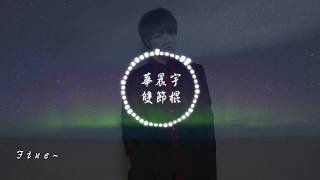 華晨宇《雙節棍》高音質無雜音【動態歌詞MV】