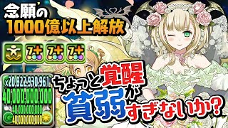 花嫁フェノン強化で木属性にも1200億上限解放が実装！しかし…【パズドラ】