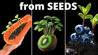 I Grew 12 Plants From Seed to Make this TIMELAPSE Compilation!