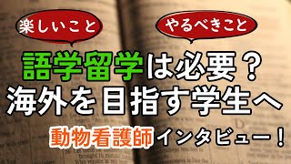 語学留学は必要？海外志向の動物看護学生さん必見！