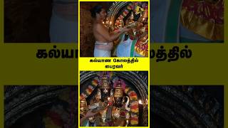 கல்யாண கோலத்தில் பைரவர் Powerful Bhairavar Temple #gotemple #tamil #bhakti #bhairavar #shorts