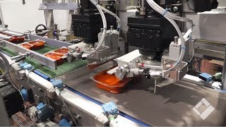 Meypack - Packaging machine with routing system for thermoformed meat trays
