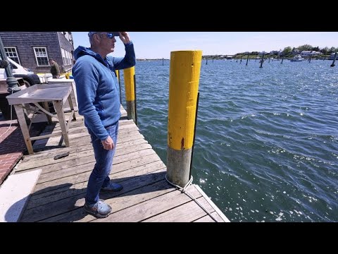 Endurance athlete marks 'Jaws' anniversary with swim to change shark narrative