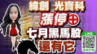 緯創光寶科漲停 七月黑馬股還有它｜股市易點靈 許毓玲 分析師｜20230711