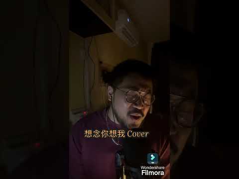 想念你想我 Cover