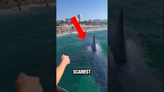 TOP 5 SCARIEST LEGENDARY SEA MONSTERS😱😨