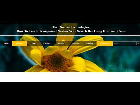 Transparent Navbar With Search Bar In Html Css | Navbar With Search Bar Transparent Background Html
