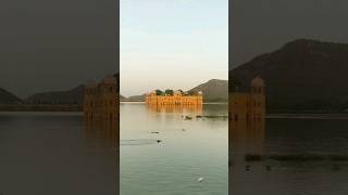 Jal Mahal Jaipur #jalmahal  #jalmahaljaipur #shortvideo #shorts