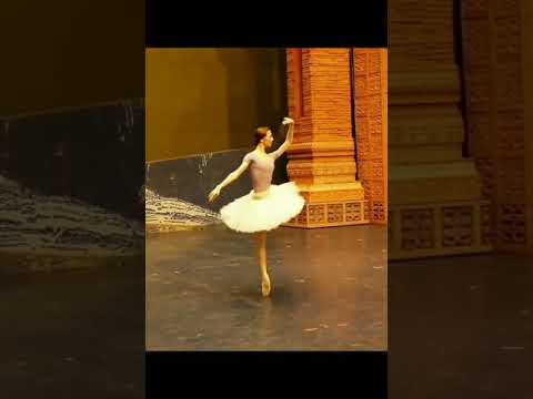 #バレエ　#ballet 【バレエ　ザハロワ】【究極の美】