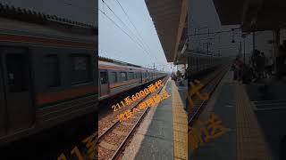 211系6000番代、流鉄へ甲種輸送 #shorts #鉄道 #211系 #電車 #撮り鉄