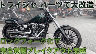 ロングフォーク化で完全覚醒ブレイクアウト完成。トライジャパーツで大改造！
