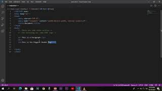 HTML5 Tags (Explained)