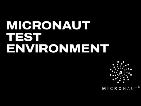 Micronaut Test Environment