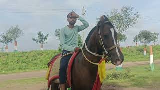 Gabbar horse riding in my village #horse #horserider #villagelife #horsevlog #vlog