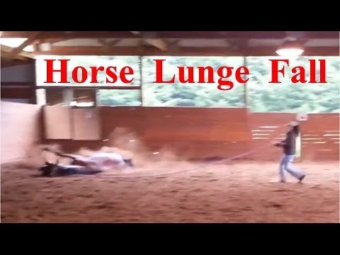 Our Horse took a fall today for the first time ever and I just happened to be videotaping