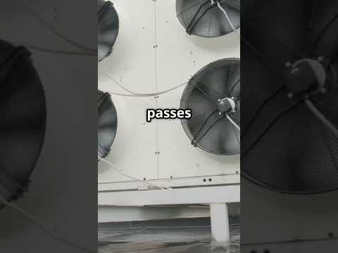 How does a cooler really work? Beat the heat with this cool tech explainer! #aircooler #howitklics
