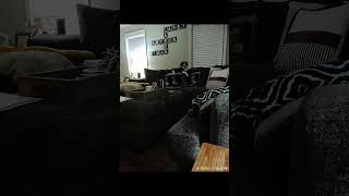 AI Camera Tracks Your Dog's Adventures While You're Away! #tech