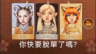 你快要脫單了嗎?❤️愛情占卜 / 觀看無日期限制 / CC(Sub)EN-JP-TC
