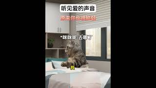 我能听见你对我的爱#脑洞大开 #爽文 #搞笑 #故事