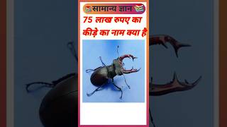 Gk question 📚✍️|Gk question in hindi|#ajvibes #brgkstudy #ytshorts #gkquestion #gkinhindi #short