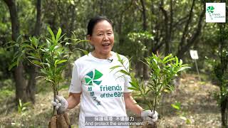 【香港地球之友】酷森林 2020 帶你感受植樹體驗