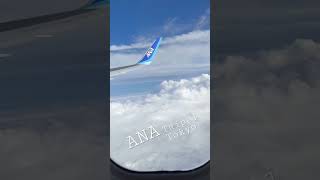 ANA  Taipei ➡️ Tokyo #全日空