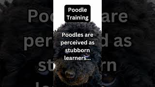 Poodle Training #crushgoals #brainteaser #dog #puzzle #riddle #motivation #quotes #doglover #love