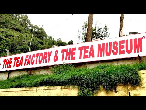 #TEA Factory in Ooty | Preparing #Tea powder and #Home made #Chacolates #Tea_Museume