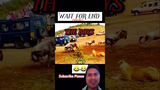 LION VS LIONESS | WAIT FOR END 😂#lionhunt #lion #theboys #funny #s2feelings #thelioninside #wildlife