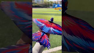 Bionic bird remote control aircraft flight show. #kidsgiftideas #techtoys #modelairplane #toys