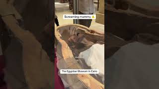 Screaming mummy at the The Egyptian Museum in Cairo #egypt #ancientegypt #kingtutankhamun