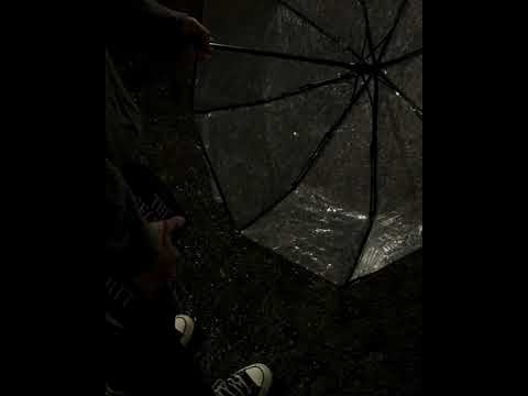 Sweater weather #music #song #attackontitanwingsoffreedom #love #songs #shorts #short