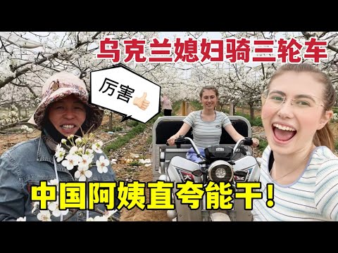 Farming in China on a tricycle！外國媳婦騎三輪車下地干農活，中國阿姨誇不停：這洋媳婦真能幹！