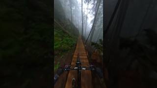 The most BC trail of all time! | First Blood